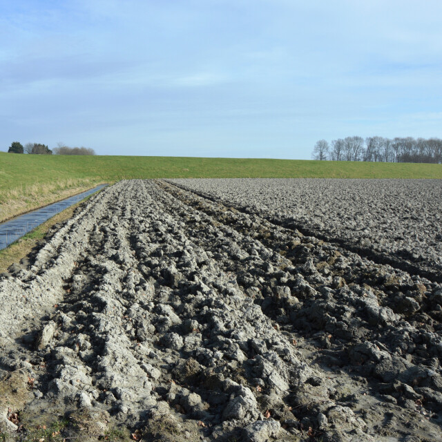 Zonneweide Groetpolder